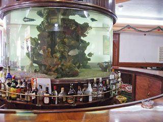 Hotel Maria Victoria Los Pascuales Ngoại thất bức ảnh